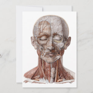 Ciencia de anatomía humana vintage, cabeza gargant