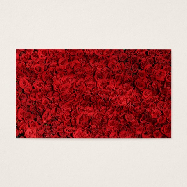 Cientos de hermosas rosas rojas (Frente)