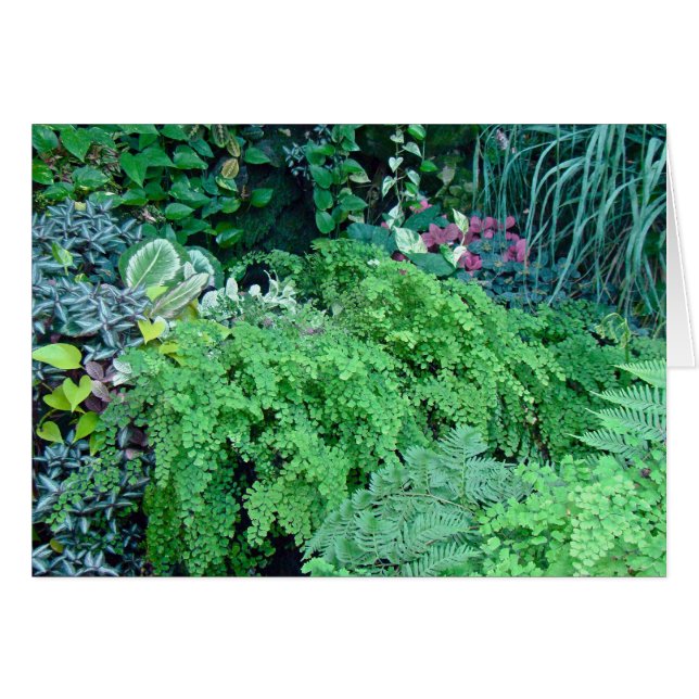 Cientos de tonos verdes y verdes son hermosos (Anverso (Horizontal))