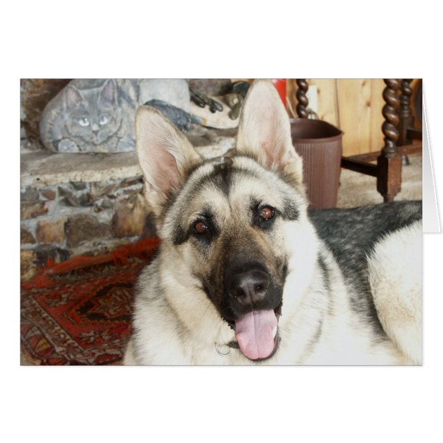 Cierre de Aussie para arriba (Anverso (Horizontal))