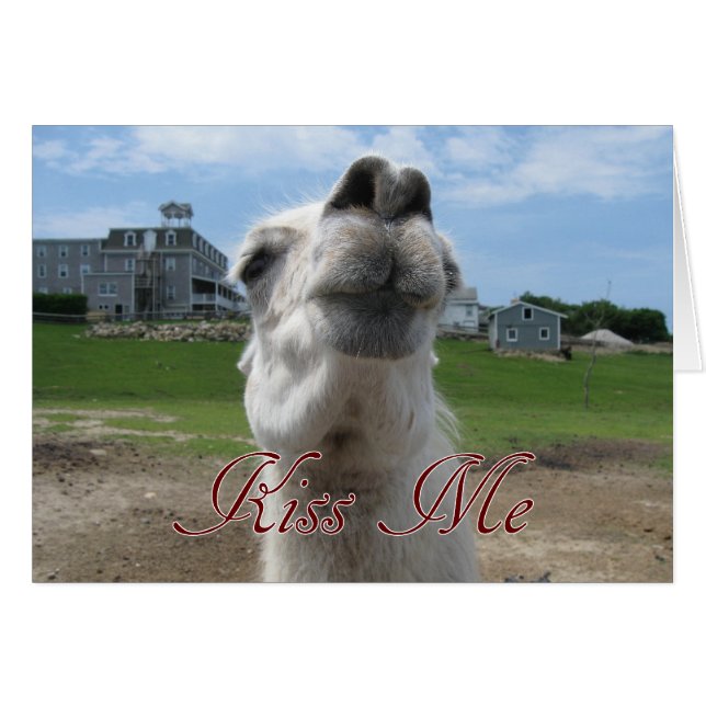 Cierre de Kiss Me Llama (Anverso (Horizontal))