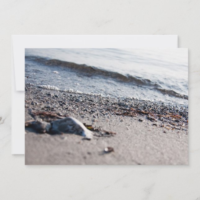 Cierre de la playa (Anverso)