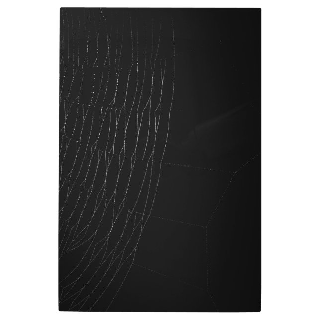 Cierre de la web blanca con Poster negro (Anverso)