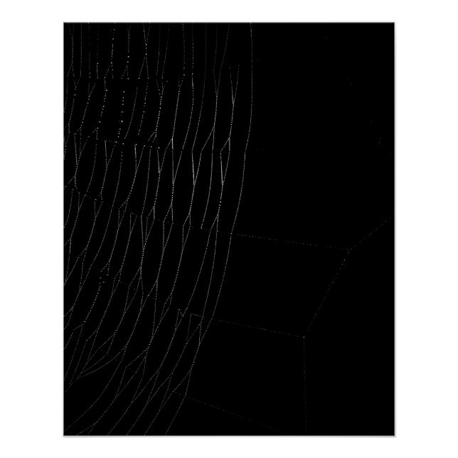 Cierre de la web blanca con Poster negro (Anverso)