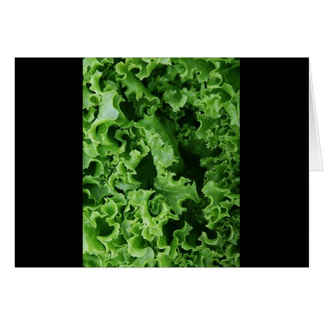 Cierre de lechuga verde único (Anverso (Horizontal))