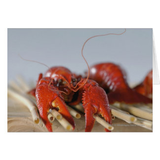 Cierre de un cangrejo sobre palos