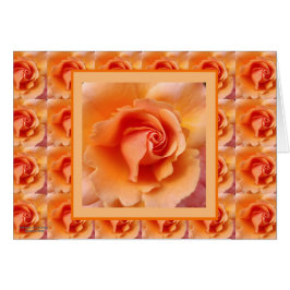 Cierre subió melocotón de la flor del albaricoque