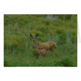 Cierva Mula y Cría D5