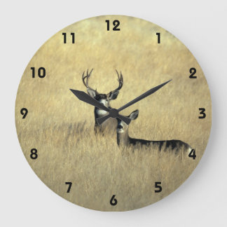 Ciervo mula en reloj de pared de California