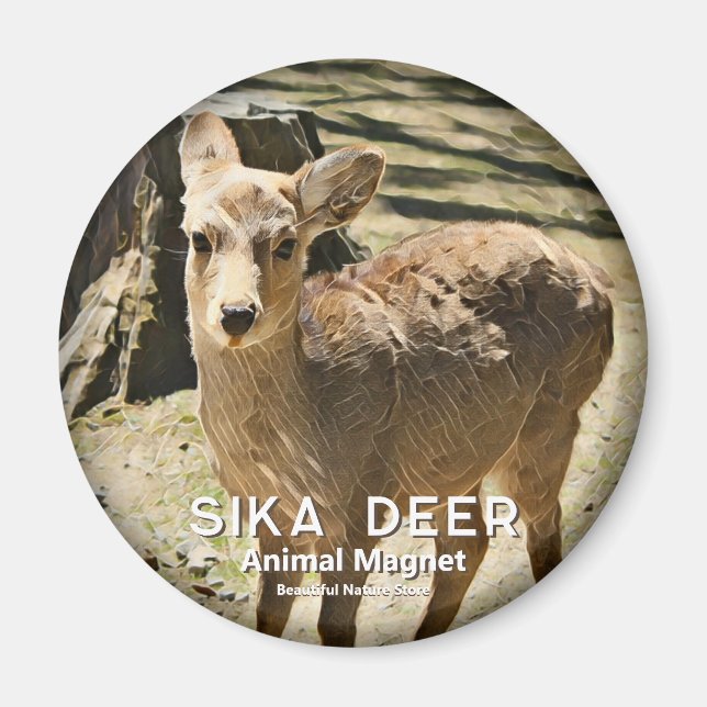 Ciervo Sika imán (Frente)