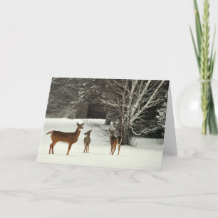 Ciervos en tarjeta de felicitación de la nieve