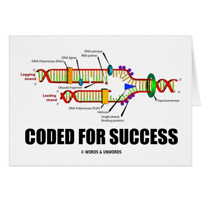 Cifrado para el éxito (réplica de la DNA) (Anverso (Horizontal))