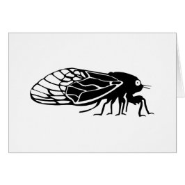 Cigarras - Cigales - Magicicadas - zumbido del