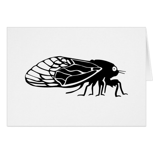 Cigarras - Cigales - Magicicadas - zumbido del (Anverso (Horizontal))