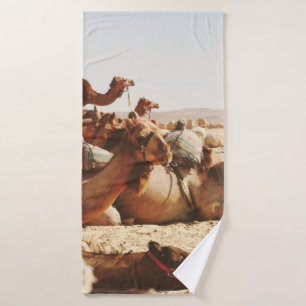 CINCO CAMELLOS SOBRE EL TERRENO