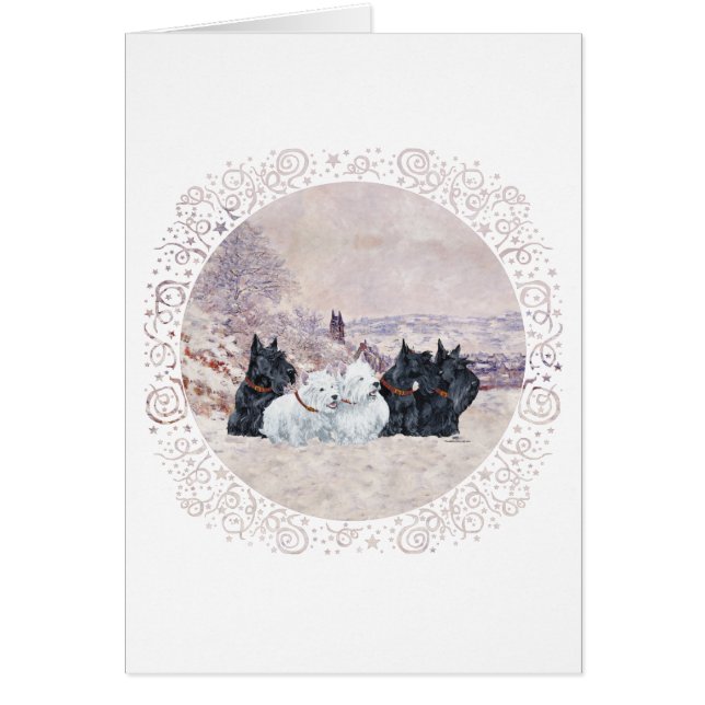 Cinco Invierno (Frente)