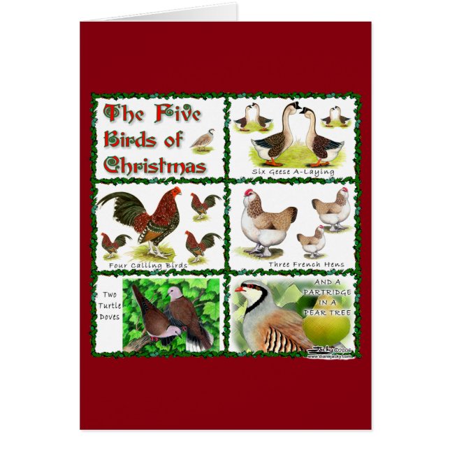 Cinco pájaros de Navidades (Frente)