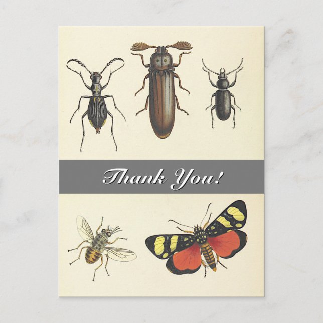 Cinco Vintage Look Inspira "¡Gracias!" Postal (Anverso)