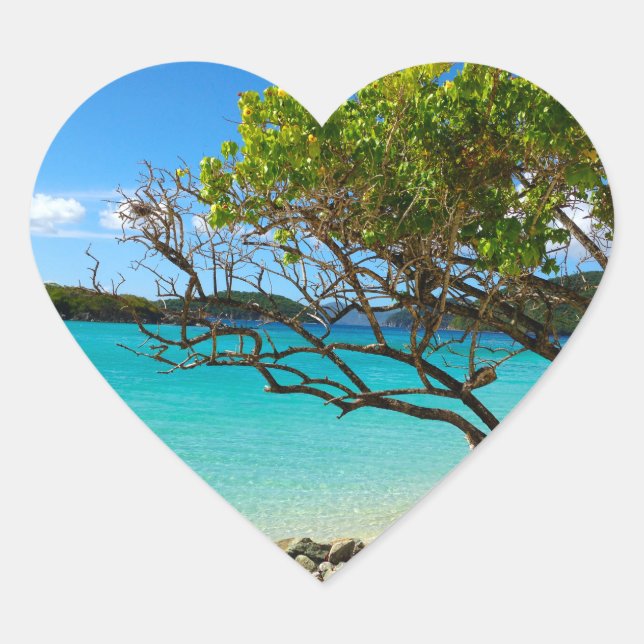 Cinnamon Bay St. John Heart Pegatina (Anverso)