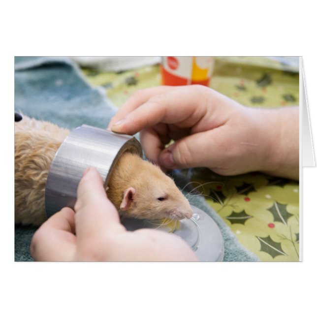 cinta de ducto (Anverso (Horizontal))