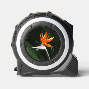 Cinta Métrica Pájaro del Naranja del paraíso Flor tropical