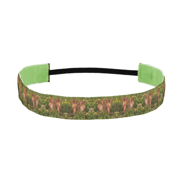 Cinta Para La Cabeza Baby Chipmunks Animal Art (Anverso)