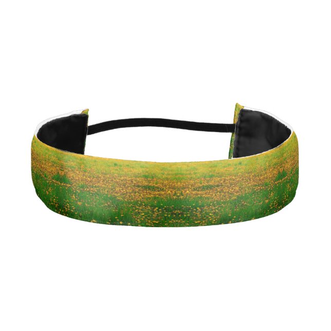 Cinta Para La Cabeza Dandelion Field Headband (Anverso)