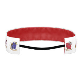 Cinta Para La Cabeza Diseños de dados de Dungeons and Dragons Class