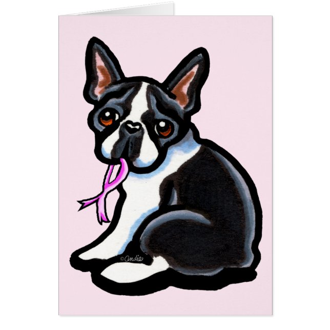 Cinta rosa Boston (Frente)