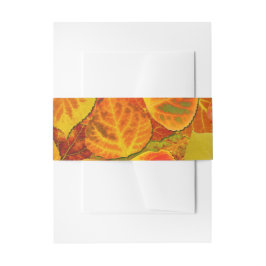 Cintas Para Invitaciones Aspen Deja Collage Sólido Medley 1