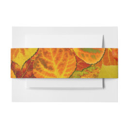 Cintas Para Invitaciones Aspen Deja Collage Sólido Medley 1