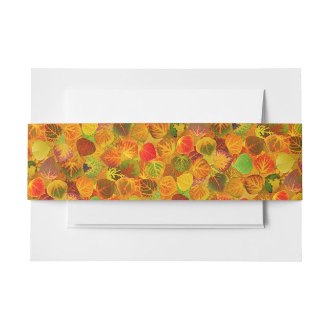 Cintas Para Invitaciones Aspen Deja Collage Sólido Medley Seamless 1 (Anverso Ejemplo)