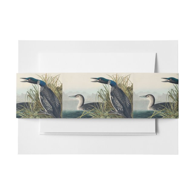 Cintas Para Invitaciones Audubon Bird Lodge Diver Classic (Anverso Ejemplo)