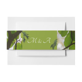 Cintas Para Invitaciones Banda Belly Boda de hojas verdes