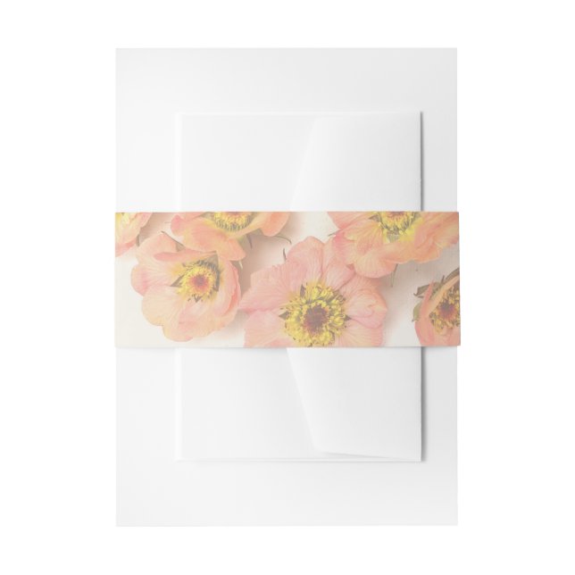 Cintas Para Invitaciones Banda de Belly de Geum de Peach Fundido (Anverso Ejemplo)