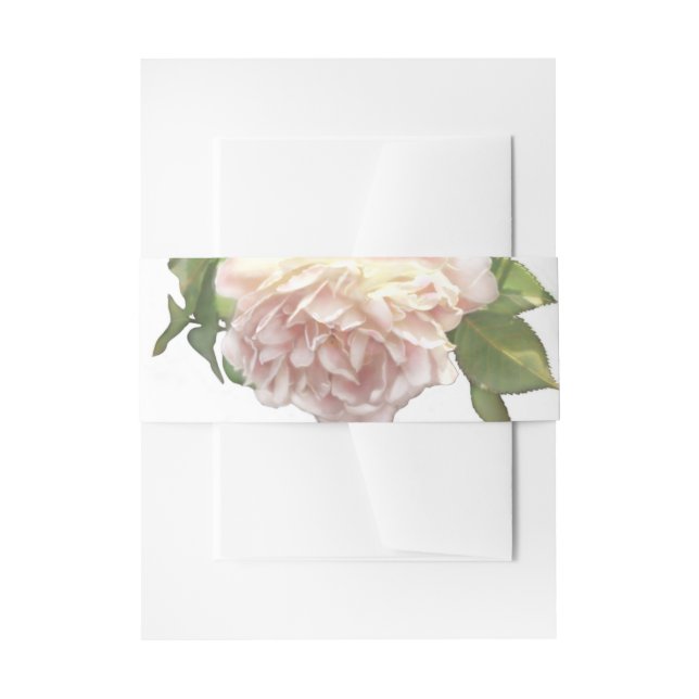 Cintas Para Invitaciones Dusty Ivory white elegante Rosa (Anverso Ejemplo)