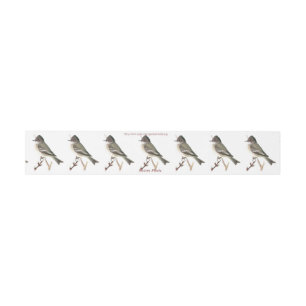 Cintas Para Invitaciones "Eastern Phoebe"