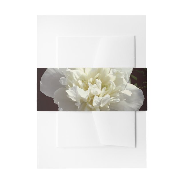 Cintas Para Invitaciones Elegante foto de una joya blanca floral (Anverso Ejemplo)