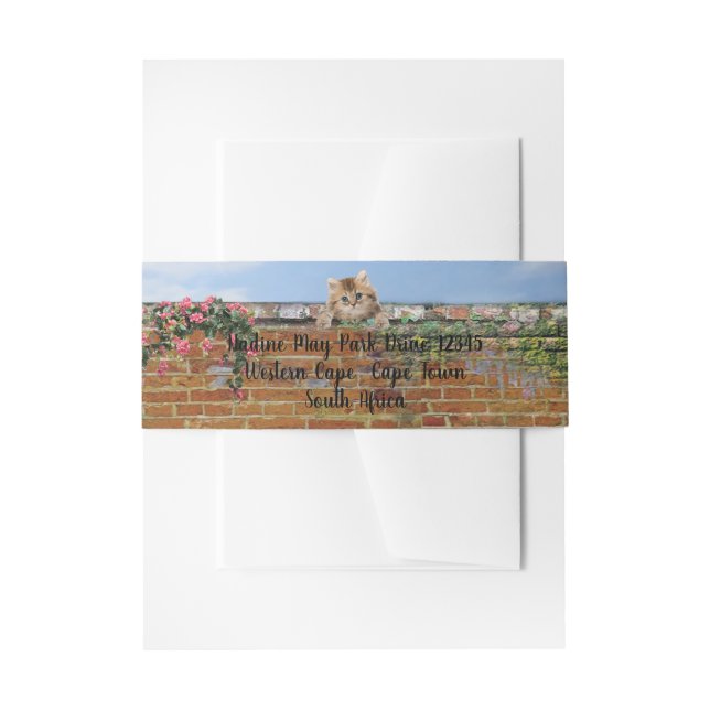 Cintas Para Invitaciones Escena de arte callejero Polka-dot (Anverso Ejemplo)