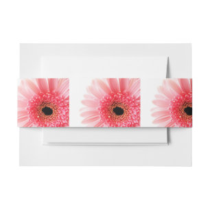 Cintas Para Invitaciones Gerbera Daisy