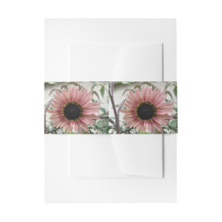 Cintas Para Invitaciones Girasol rosa pálido