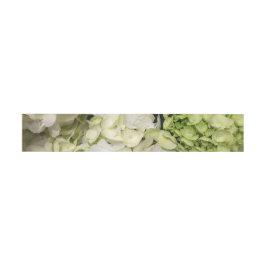 Cintas Para Invitaciones Hydrangea White Green Boda Suite