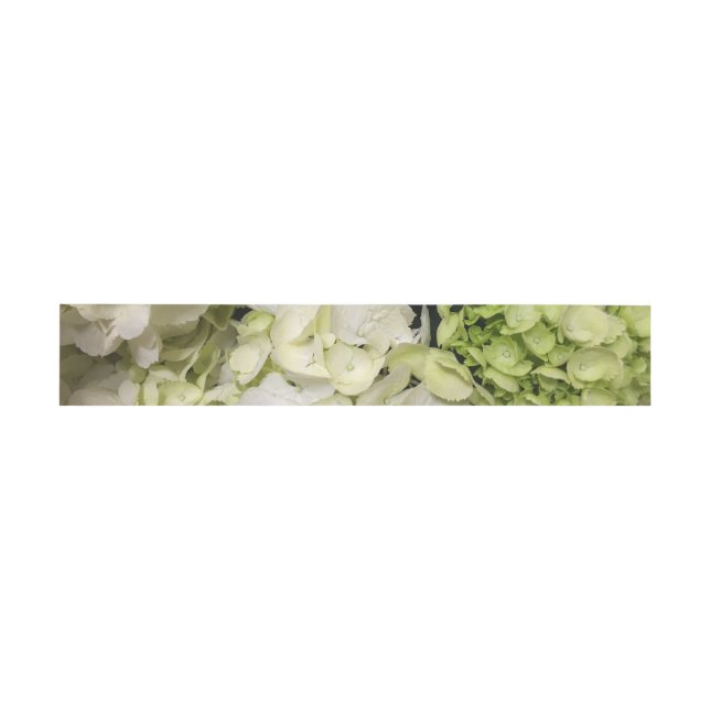 Cintas Para Invitaciones Hydrangea White Green Boda Suite (Superficie plana)