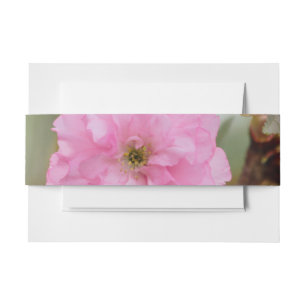 Cintas Para Invitaciones Rosado Rosa