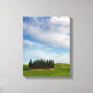 Cipras en lienzo vertical toscano