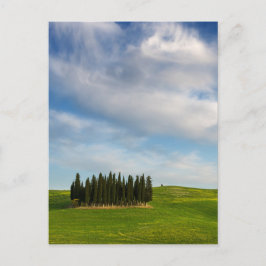 Cipras en postales verticales toscanas