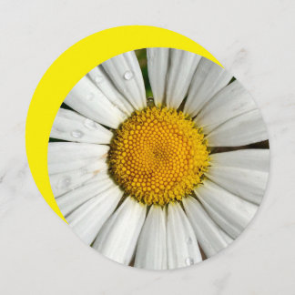 Círculo de invitación de 5,25 x 5,25