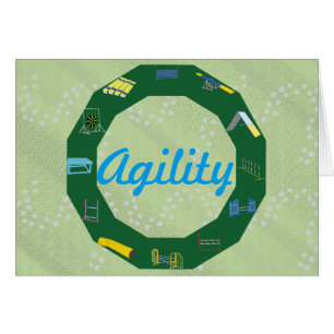 Círculo de la agilidad