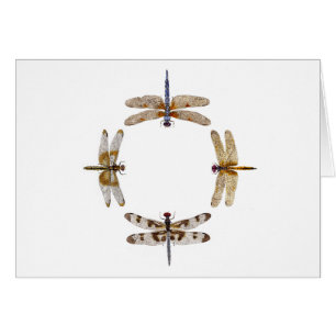 Círculo de libélulas