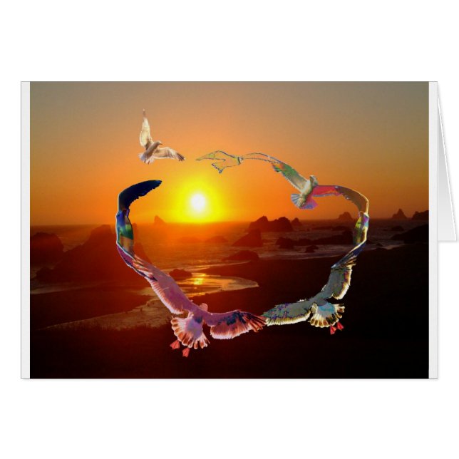 Círculo de Seaguls (Anverso (Horizontal))